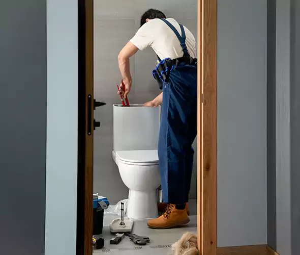 Professional Plumbers for Toilet Bowl Replacement in San Jacinto, CA: Schedule Affordable Toilet Replacement Services With Us