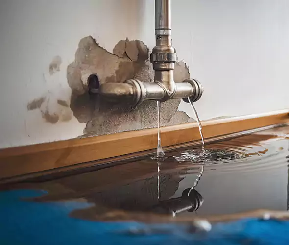 Professional Water Damage Restoration Experts in San Jacinto, CA — Fast, Reliable & Certified